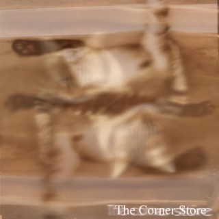 TheCornerStore