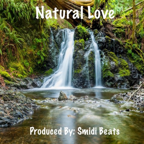 Natural Love | Boomplay Music