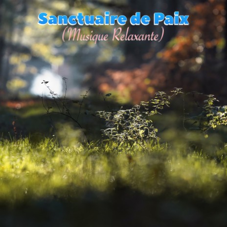 Lost ft. Bouddha Musique Sanctuaire & Musique Zen