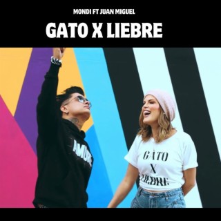 GATO x LIEBRE - periquezumba merengue ft. Juan Miguel lyrics | Boomplay Music