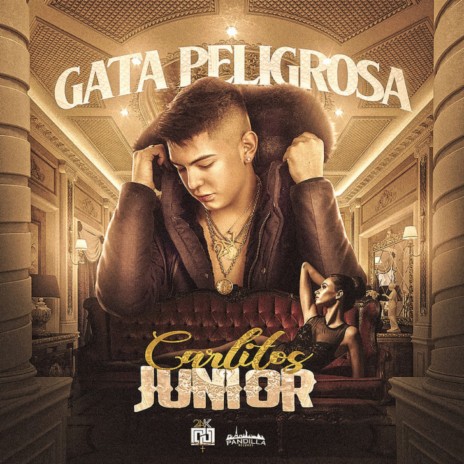 Gata Peligrosa | Boomplay Music