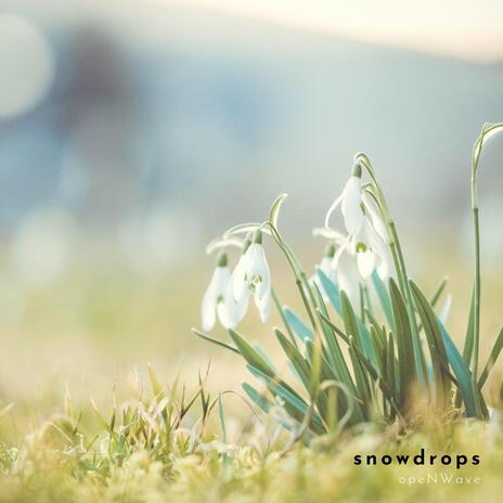 Snowdrops | Boomplay Music