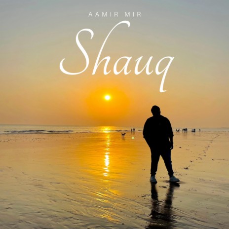Shauq ft. Gaurang Pala | Boomplay Music