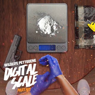 Digital Scale (Digital Scale)