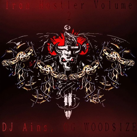 HOSTLER ft. DJ Ains | Boomplay Music