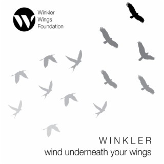 Wind Underneath Your Wings