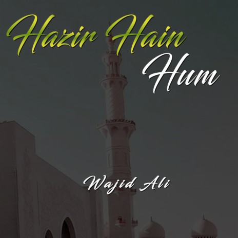 Hazir Hain Hum | Boomplay Music
