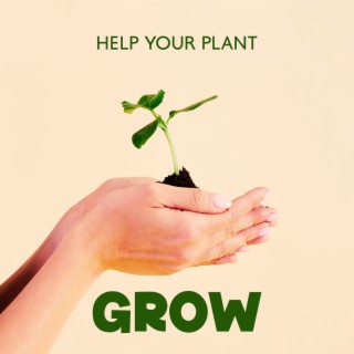 Help Your Plant Grow