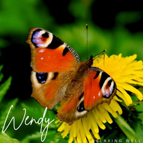 Wendy (Radio Edit) | Boomplay Music