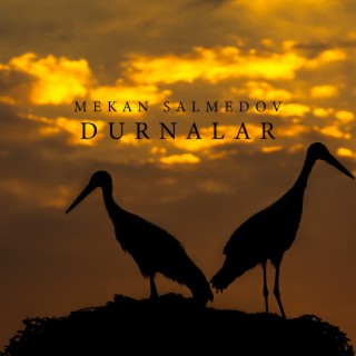 Durnalar