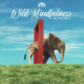Wild Mindfulness: Be Present, Meditation to Awaken Your Spirit Body Connection, The Heart at Home, Daily Calm, Focussing and Chakra Centering