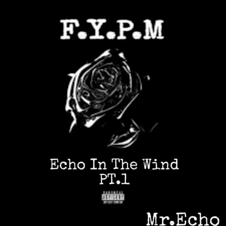 F.Y.P.M