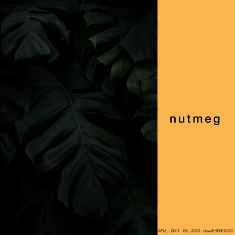 nutmeg | Boomplay Music
