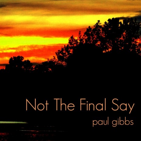 Not the Final Say | Boomplay Music