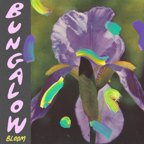 Bloom | Boomplay Music