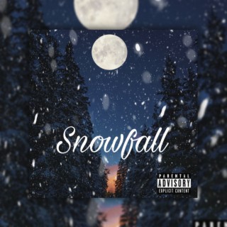 Snowfall