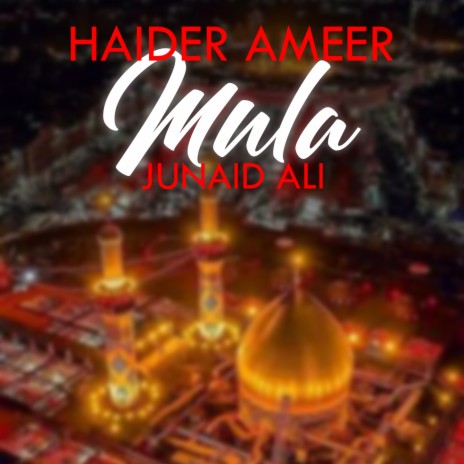 Haider Ameer mula