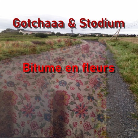 Bitume en fleurs