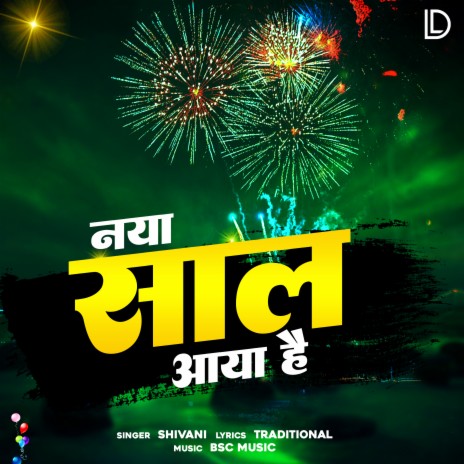 Naya Saal Aaya Hai | Boomplay Music