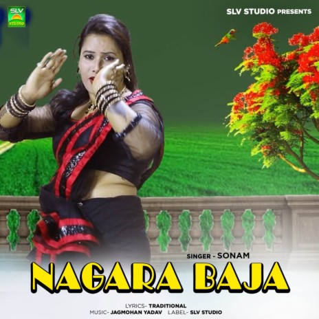 Nagara Baja ft. jyoti Chandrakar | Boomplay Music