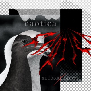 Caotica