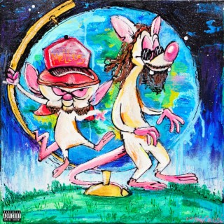 PINKYANDTHEBRAIN