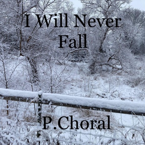 I Will Never Fall | Boomplay Music