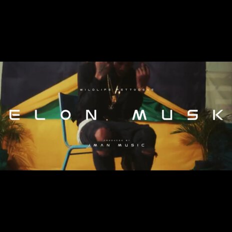 Elon Musk | Boomplay Music