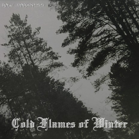 Cold Flames of Winter | Boomplay Music