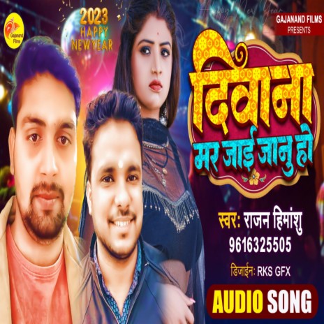 Diwana Mar Jai Janu Ho | Boomplay Music