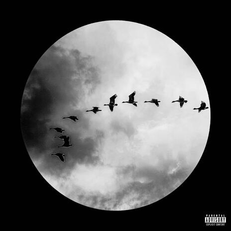 Bird Callin | Boomplay Music