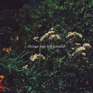 things you left unsaid