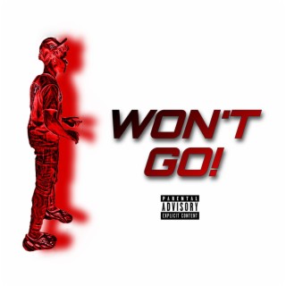 Won't Go! lyrics | Boomplay Music