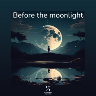 Before the moonlight