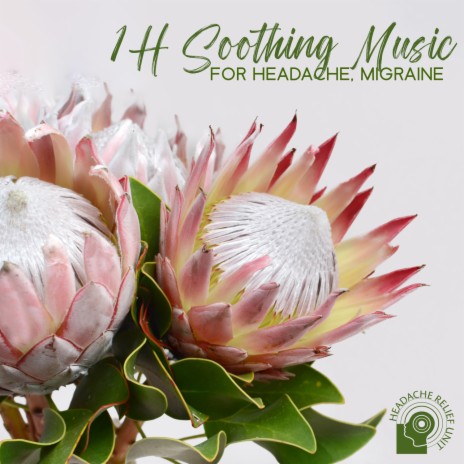 1H Soothing Music for Headache, Migraine | Boomplay Music