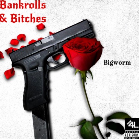 Bankrolls & Bitches | Boomplay Music