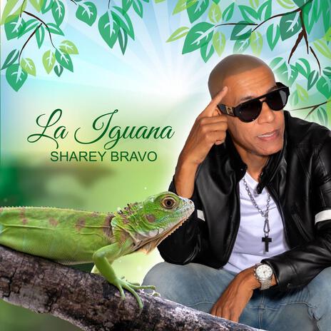 La Iguana | Boomplay Music