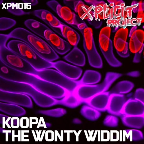 The Wonty Widdim | Boomplay Music