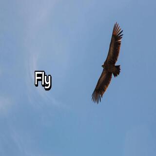 Fly(Instrumental)