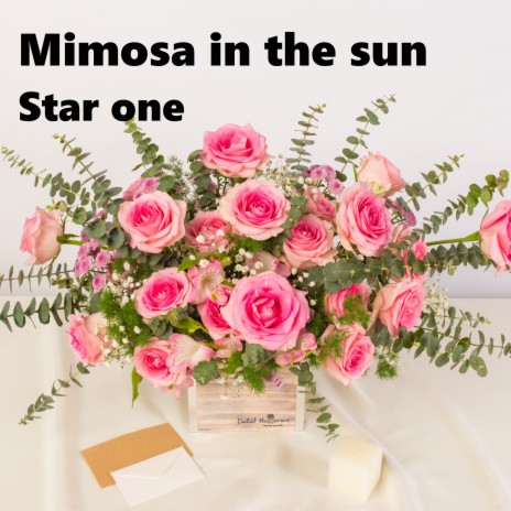 Mimosa in the sun | Boomplay Music