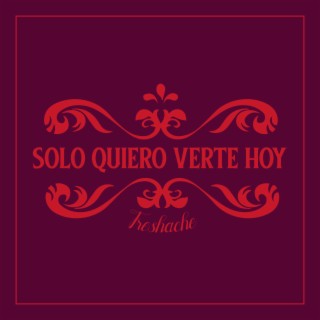 Solo Quiero Verte Hoy lyrics | Boomplay Music