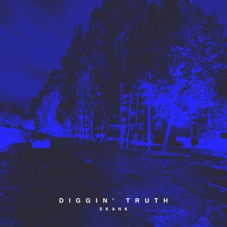 Diggin' Truth | Boomplay Music