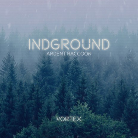 Vortex ft. INDGROUND | Boomplay Music
