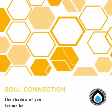 The shadow of you | Boomplay Music
