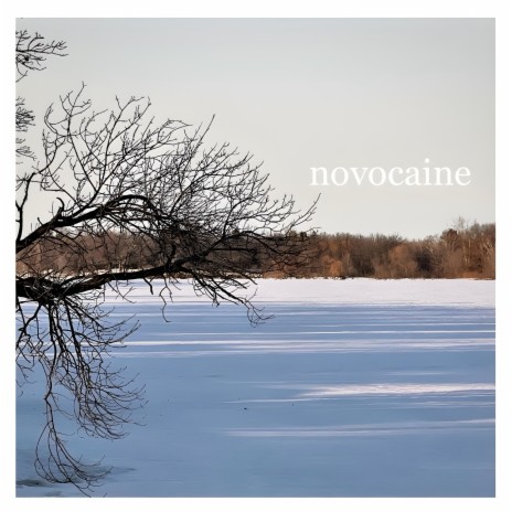 novocaine | Boomplay Music