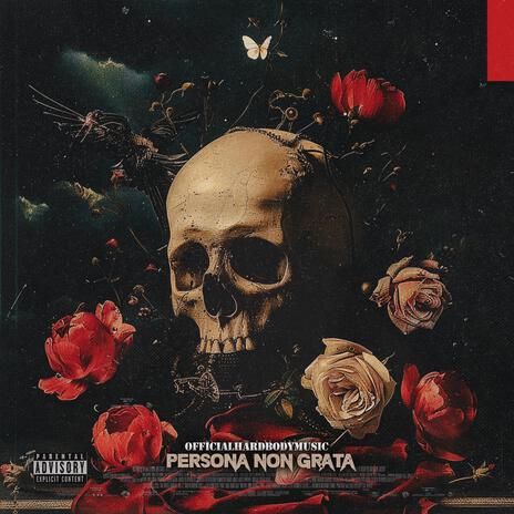 Persona Non Grata | Boomplay Music