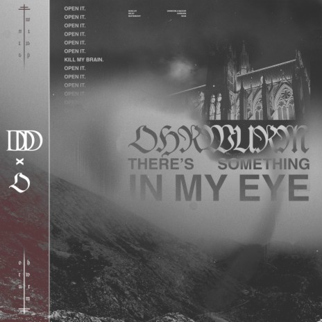 There's Something in my Eye ft. Nadddir | Boomplay Music