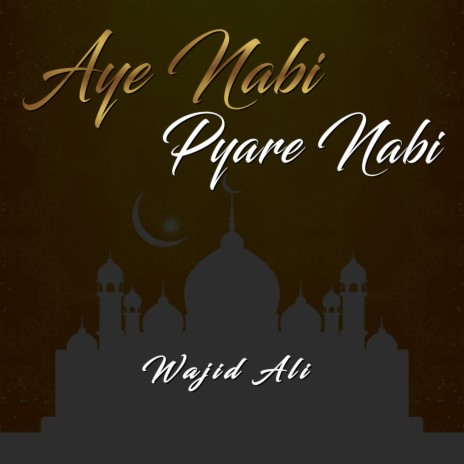 Aye Nabi Pyare Nabi | Boomplay Music