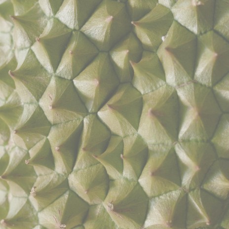 Durian | Boomplay Music