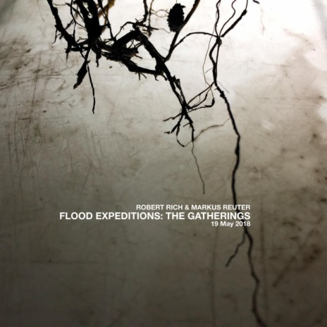 Flood Expeditions: The Gatherings Part 5 ft. Markus Reuter | Boomplay Music